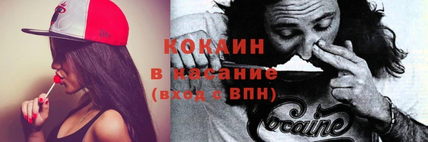молекула духа Рославль