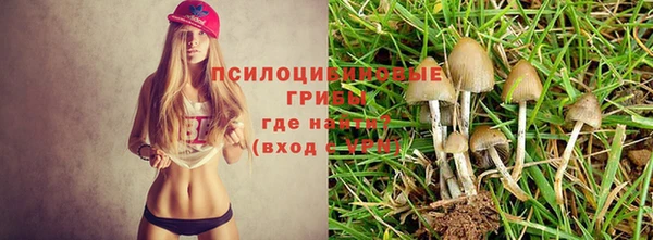 молекула духа Рославль